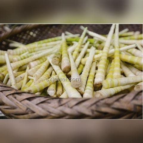 为什么感觉全世界只有中国会吃竹笋？全球食笋文化探索